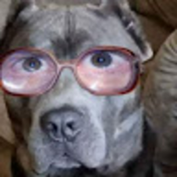 Meet your Posher, Kyle - Picture 1 of 1